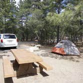 Review photo of Mather Campground — Grand Canyon National Park by Danielle V., July 31, 2016