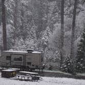 Review photo of Wawona Campground — Yosemite National Park by Pat L., August 26, 2018