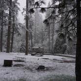 Review photo of Wawona Campground — Yosemite National Park by Pat L., August 26, 2018