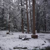 Review photo of Wawona Campground — Yosemite National Park by Pat L., August 26, 2018