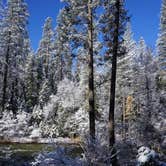 Review photo of Wawona Campground — Yosemite National Park by Pat L., August 26, 2018