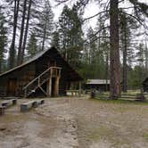 Review photo of Wawona Campground — Yosemite National Park by Pat L., August 26, 2018