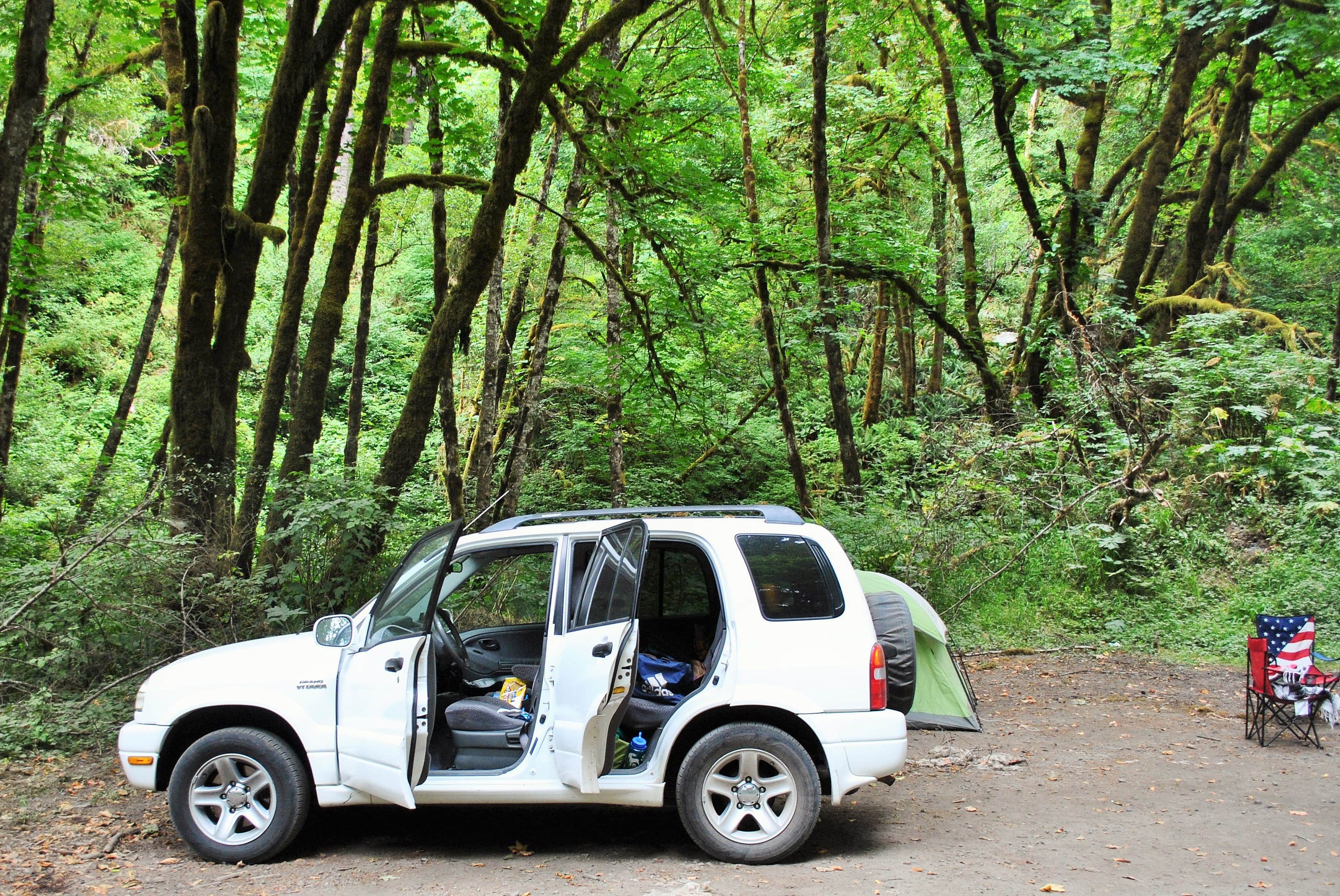 Camper submitted image from Elliott State Forest Dispersed - 2