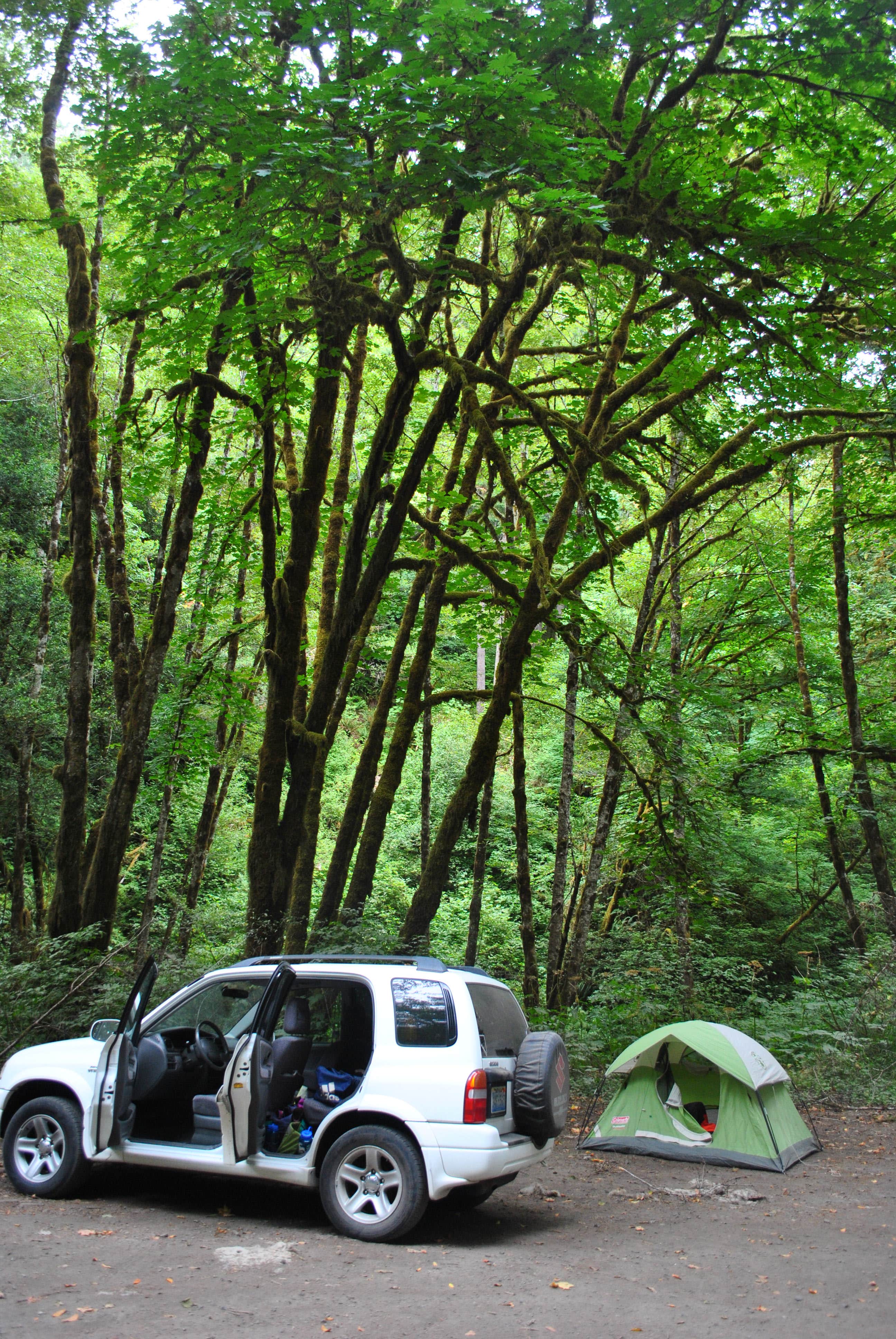 Leah W.'s photo of a dispersed camping area at Elliott State Forest Dispersed near Florence, OR