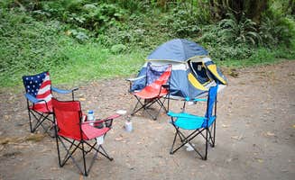 Leah W.'s photo at Elliott State Forest Dispersed near North Bend, OR