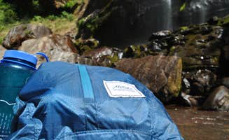 Leah W.'s photo at Elliott State Forest Dispersed near Scottsburg, OR