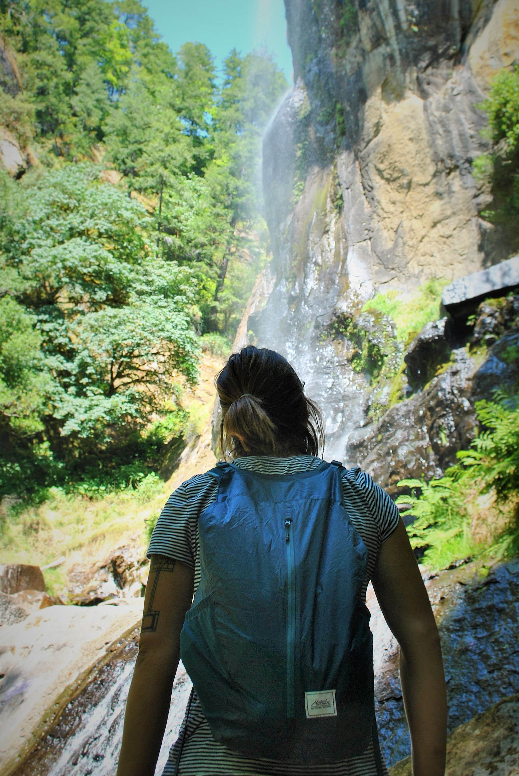 Camper-submitted photo at Elliott State Forest Dispersed near Florence, OR