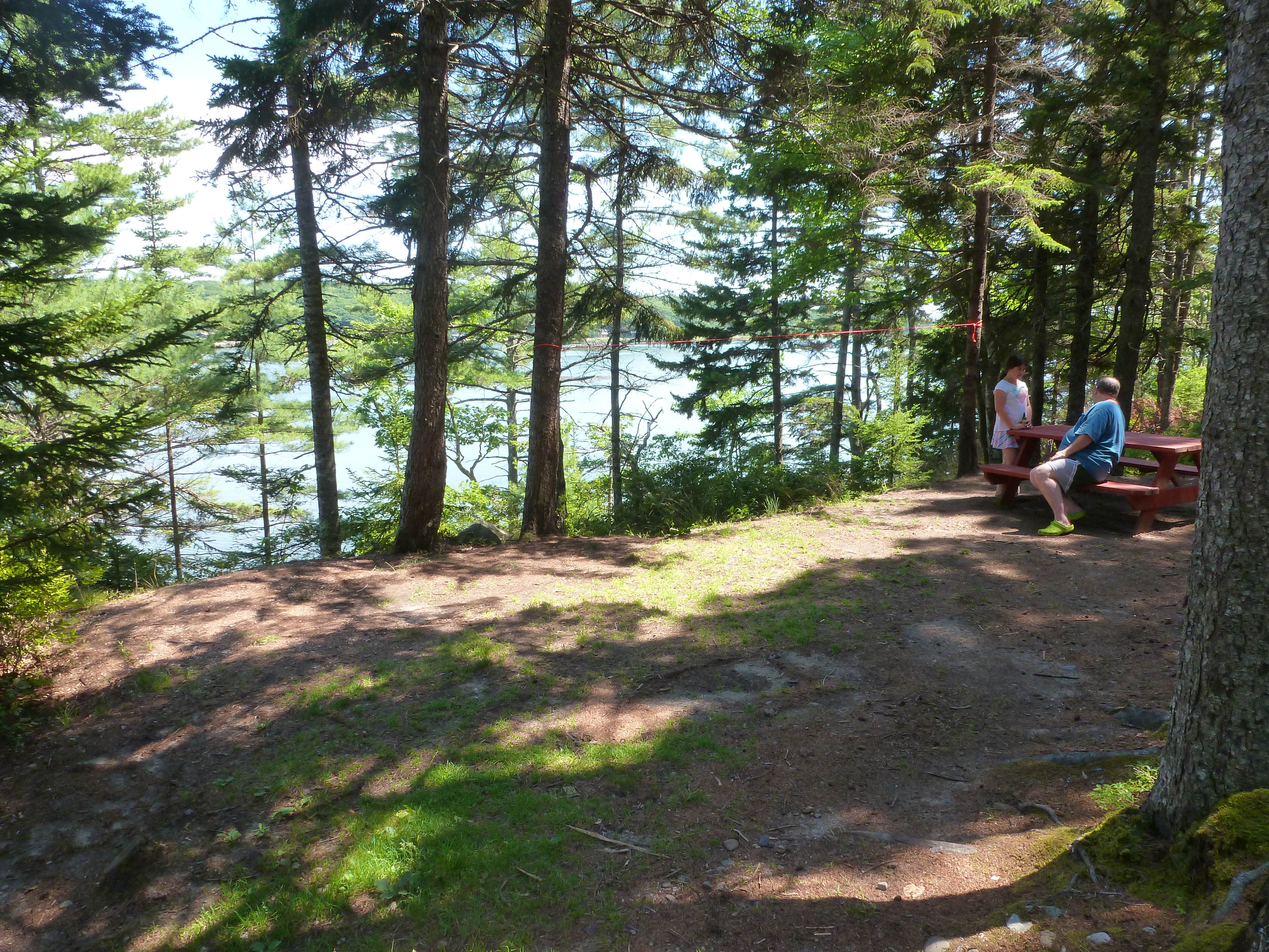 Camper submitted image from Sagadahoc Bay Campground - 2