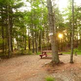 Review photo of Sagadahoc Bay Campground by Ming R., August 4, 2018