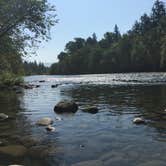 Review photo of Fishermens Bend - TEMPORARILY CLOSED TO CAMPING by Bonnie-Amelia B., August 26, 2018