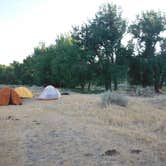 Review photo of Eagle Creek Developed Boat Camp by Dexter I., August 26, 2018