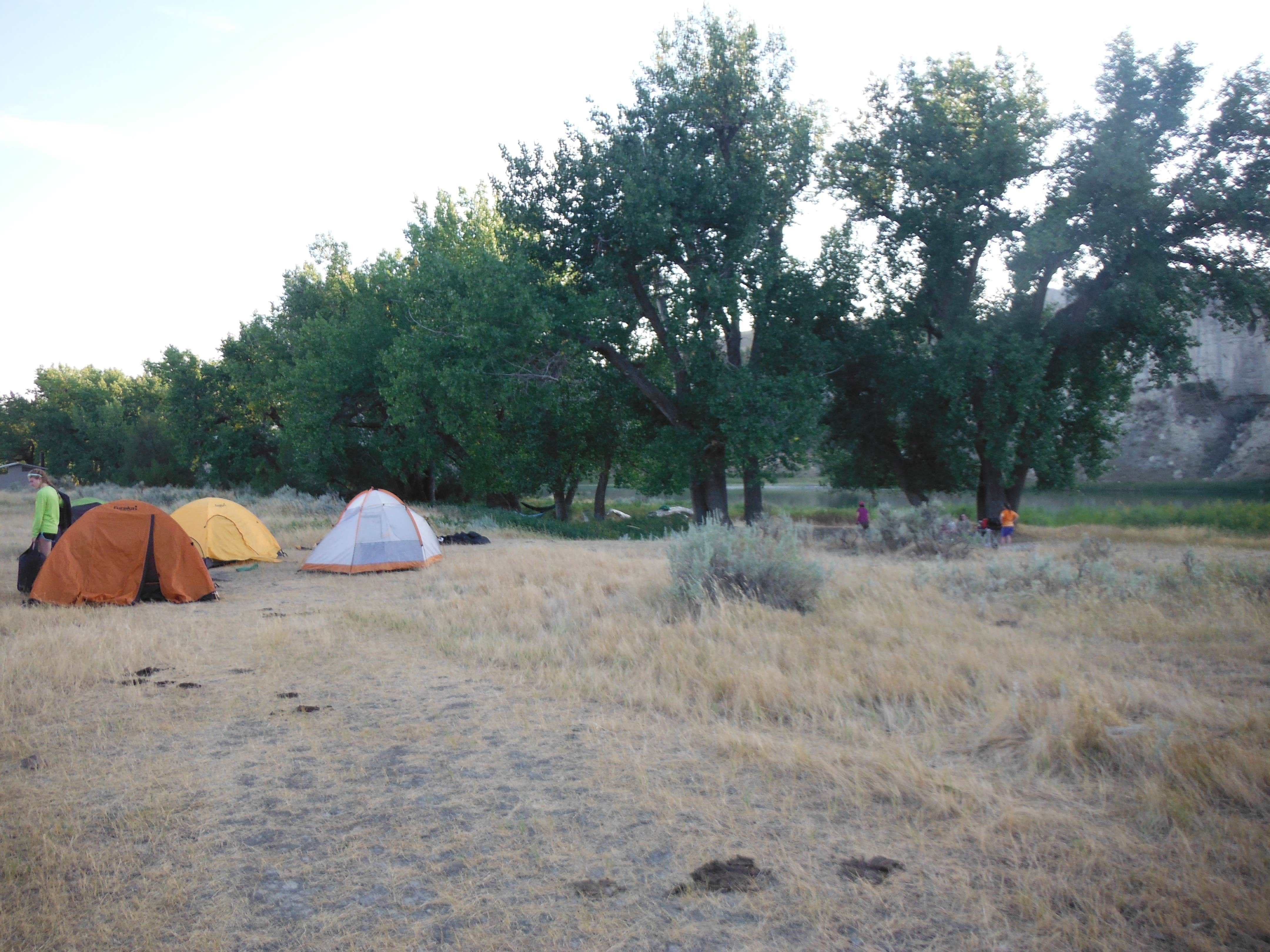 Camper submitted image from Eagle Creek Developed Boat Camp - 4