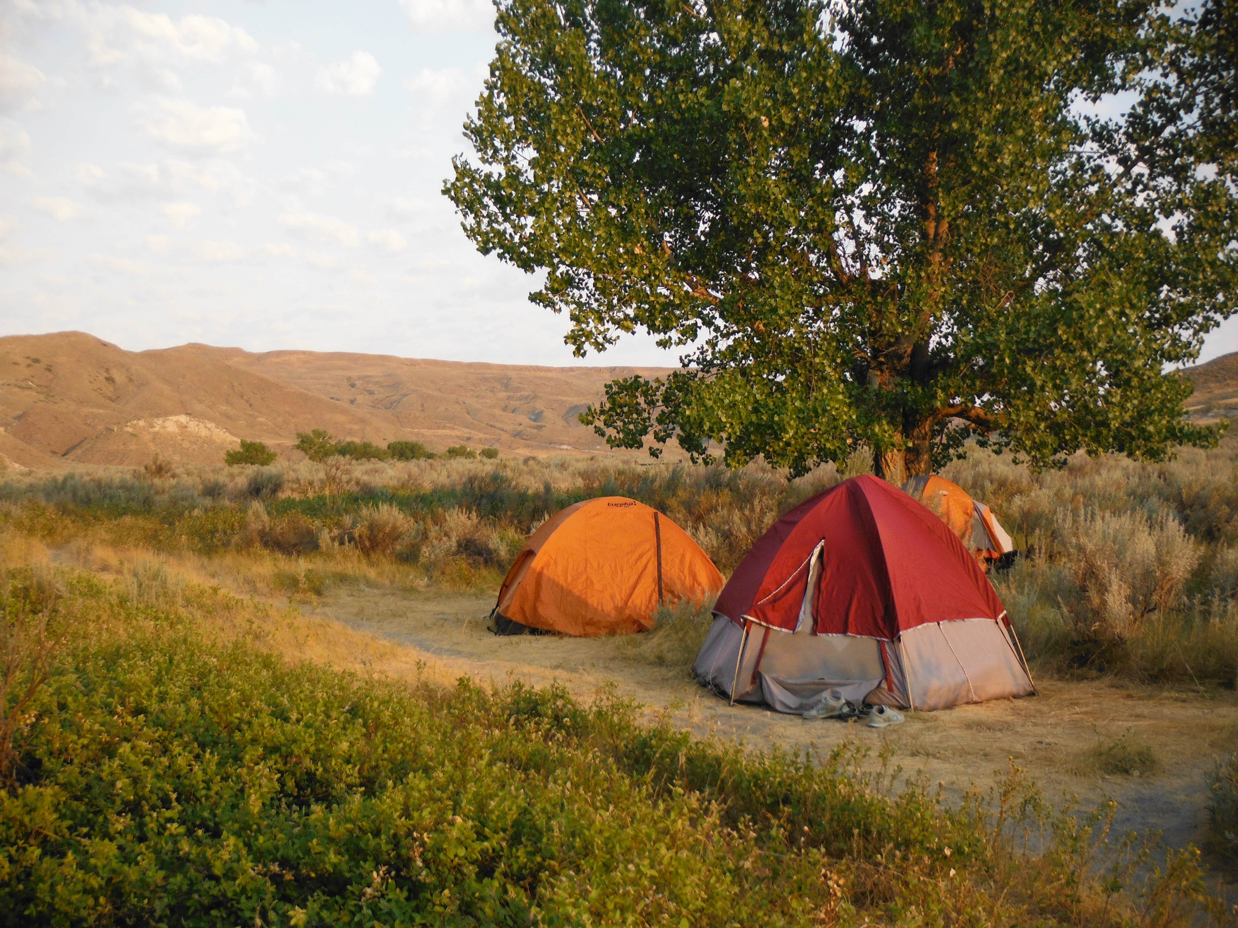 Camper submitted image from Slaughter River Boat Camp - 4