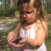 Review photo of Lake Waccamaw State Park Campground by Kathryn  W., August 26, 2018