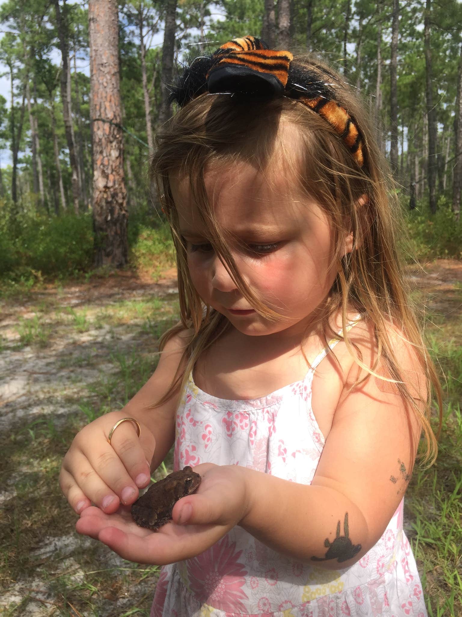 Camper submitted image from Lake Waccamaw State Park Campground - 5