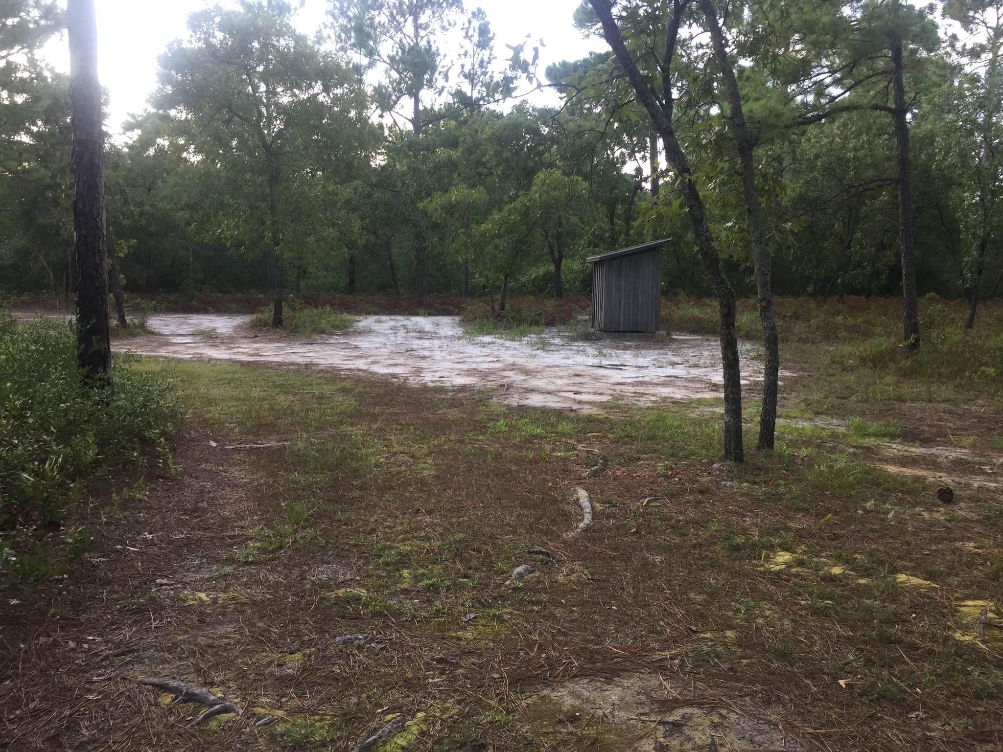 Lake Waccamaw State Park Campground Waccamaw, NC