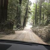 Review photo of Elk Prairie Campground — Prairie Creek Redwoods State Park by Susan K., August 26, 2018