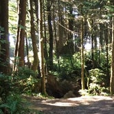 Review photo of Kalaloch Campground - group — Olympic National Park by Susan K., August 26, 2018