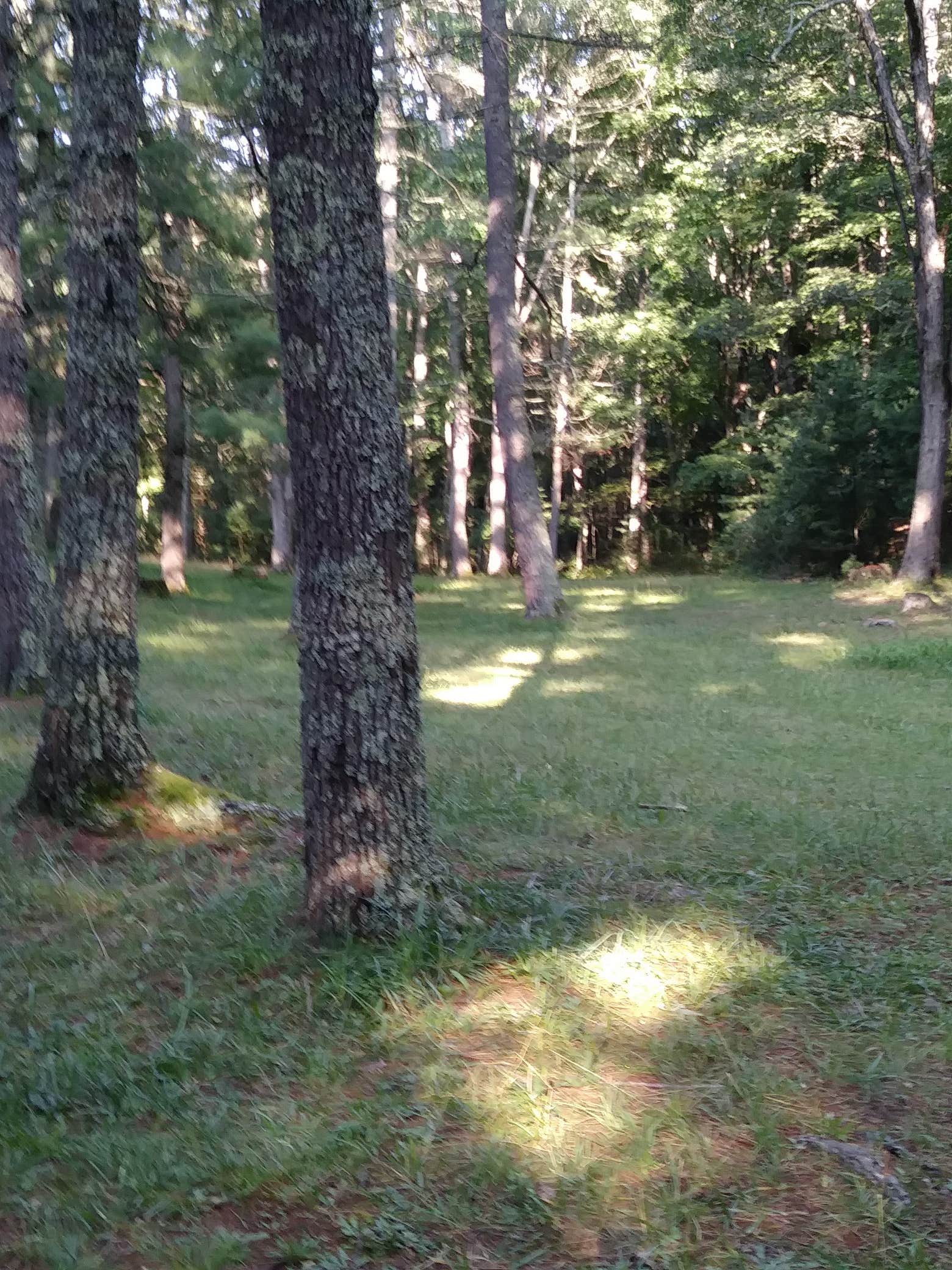 Camper-submitted photo at Walnut Flats Campground near Staffordsville, VA