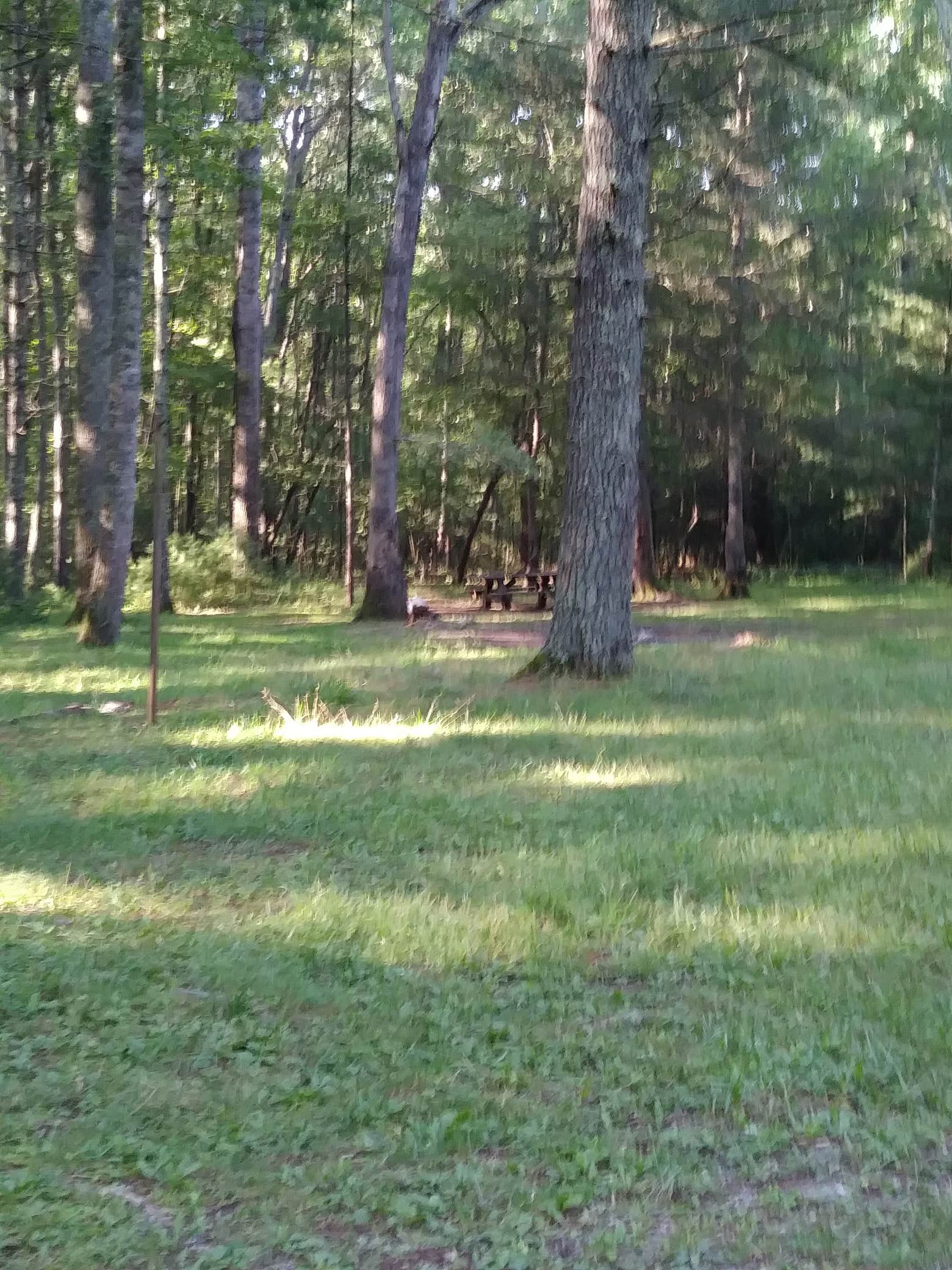 Camper-submitted photo at Walnut Flats Campground near Max Meadows, VA