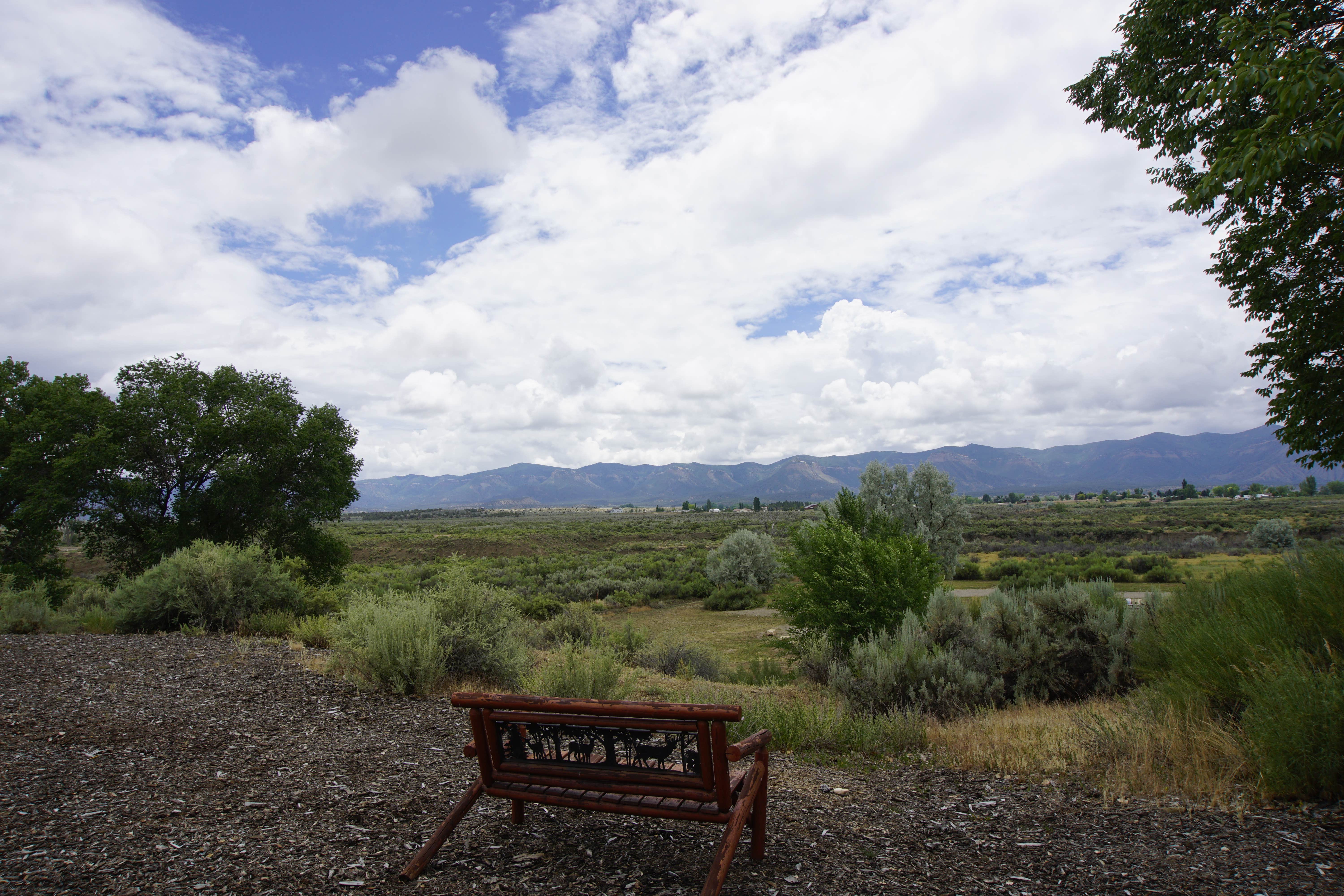 Camper submitted image from Cortez, Mesa Verde KOA - 3