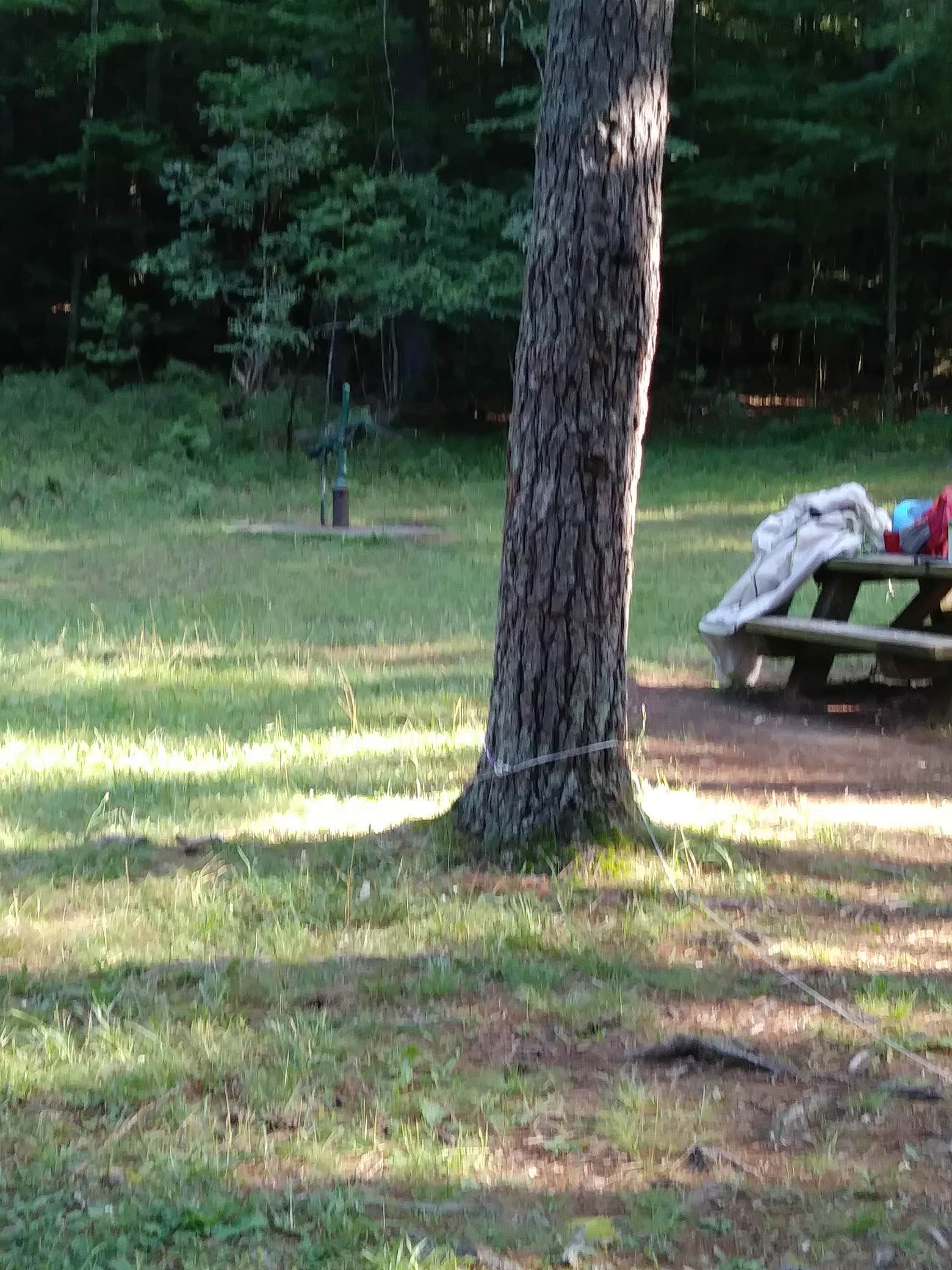 Camper-submitted photo at Walnut Flats Campground near Max Meadows, VA
