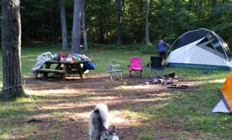 Camping near New River Junction Campground: Walnut Flats Campground, Staffordsville, Virginia