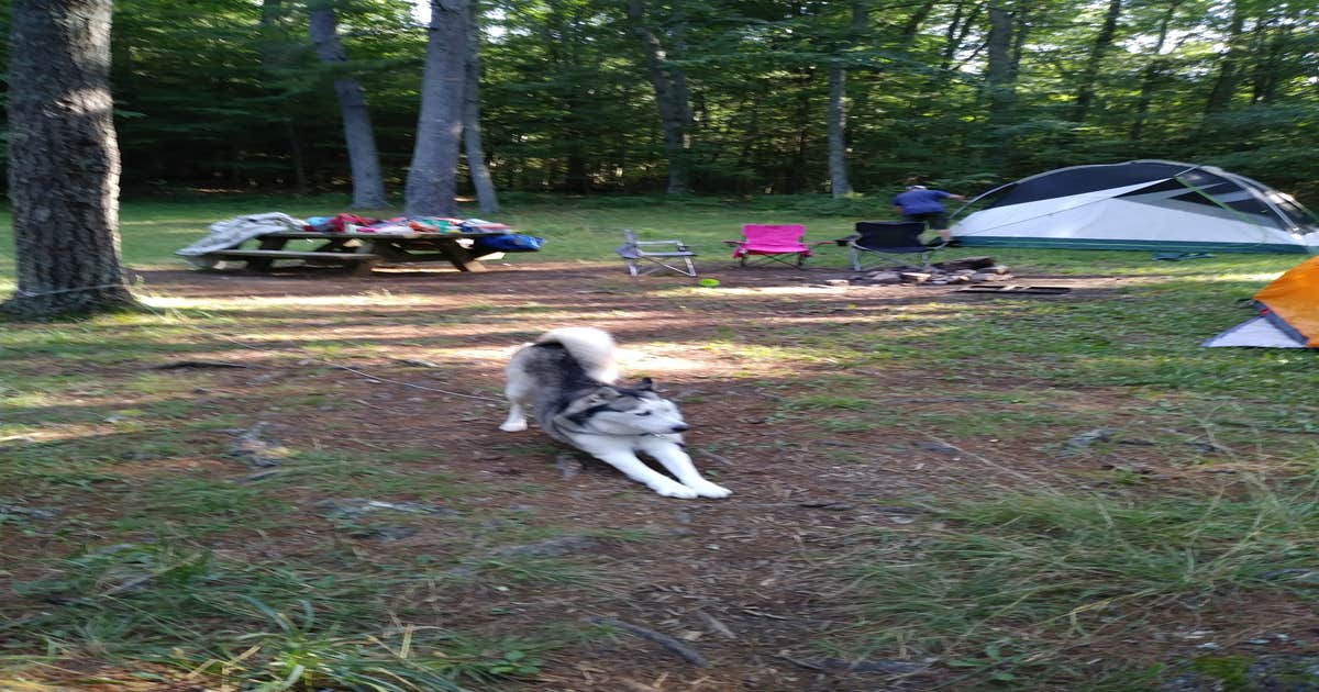 Walnut Flats Campground