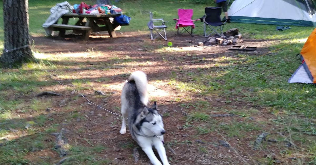 Walnut Flats Campground
