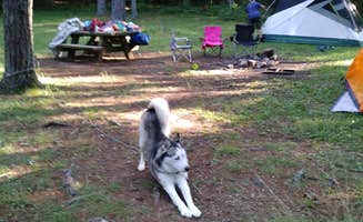 Stephanie J.'s photo at Walnut Flats Campground near Ripplemead, VA