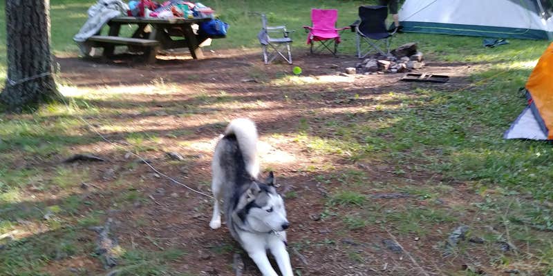 Camper submitted image from Walnut Flats Campground