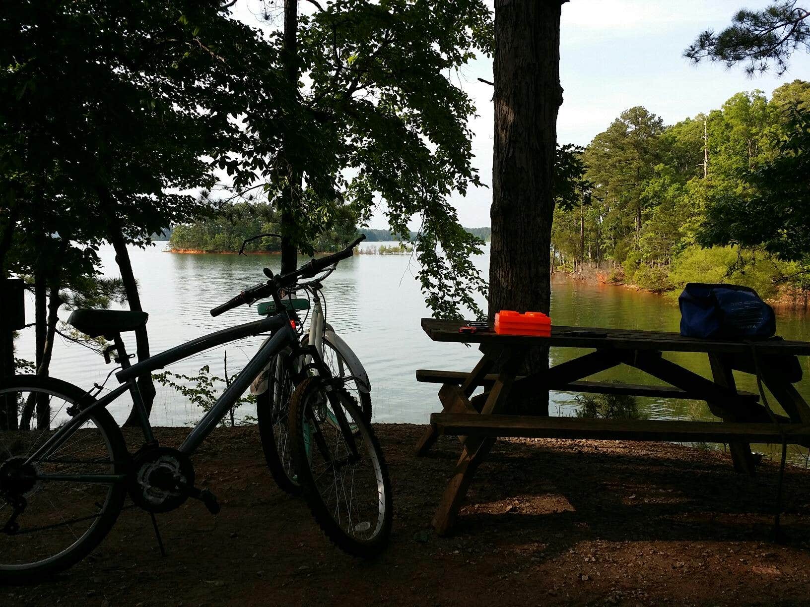 Camper-submitted photo at Hamilton Branch State Park Campground near Augusta, GA