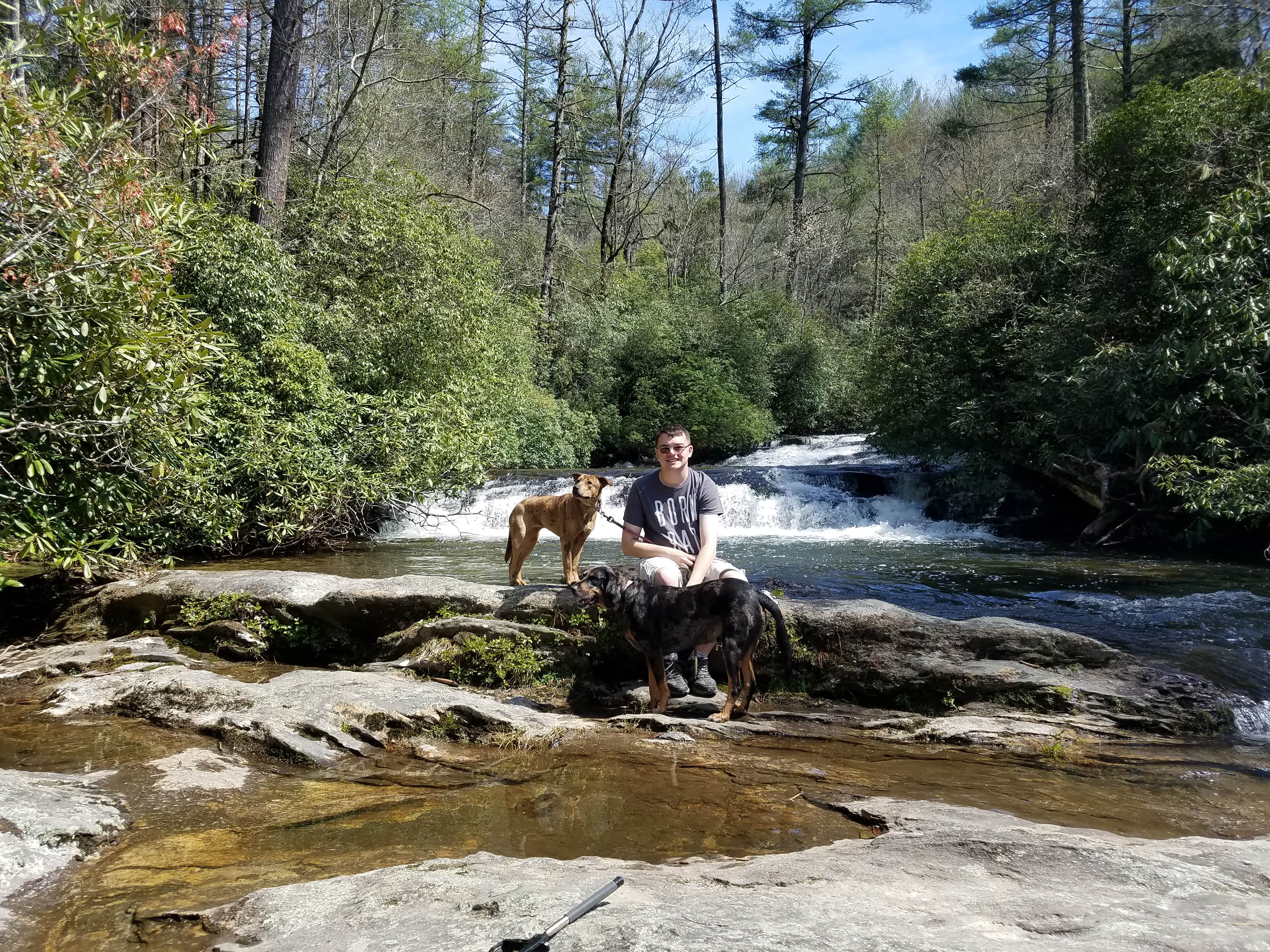 Swain K.'s photo of camping with pets at The Great Outdoors RV Resort near Sylva, NC