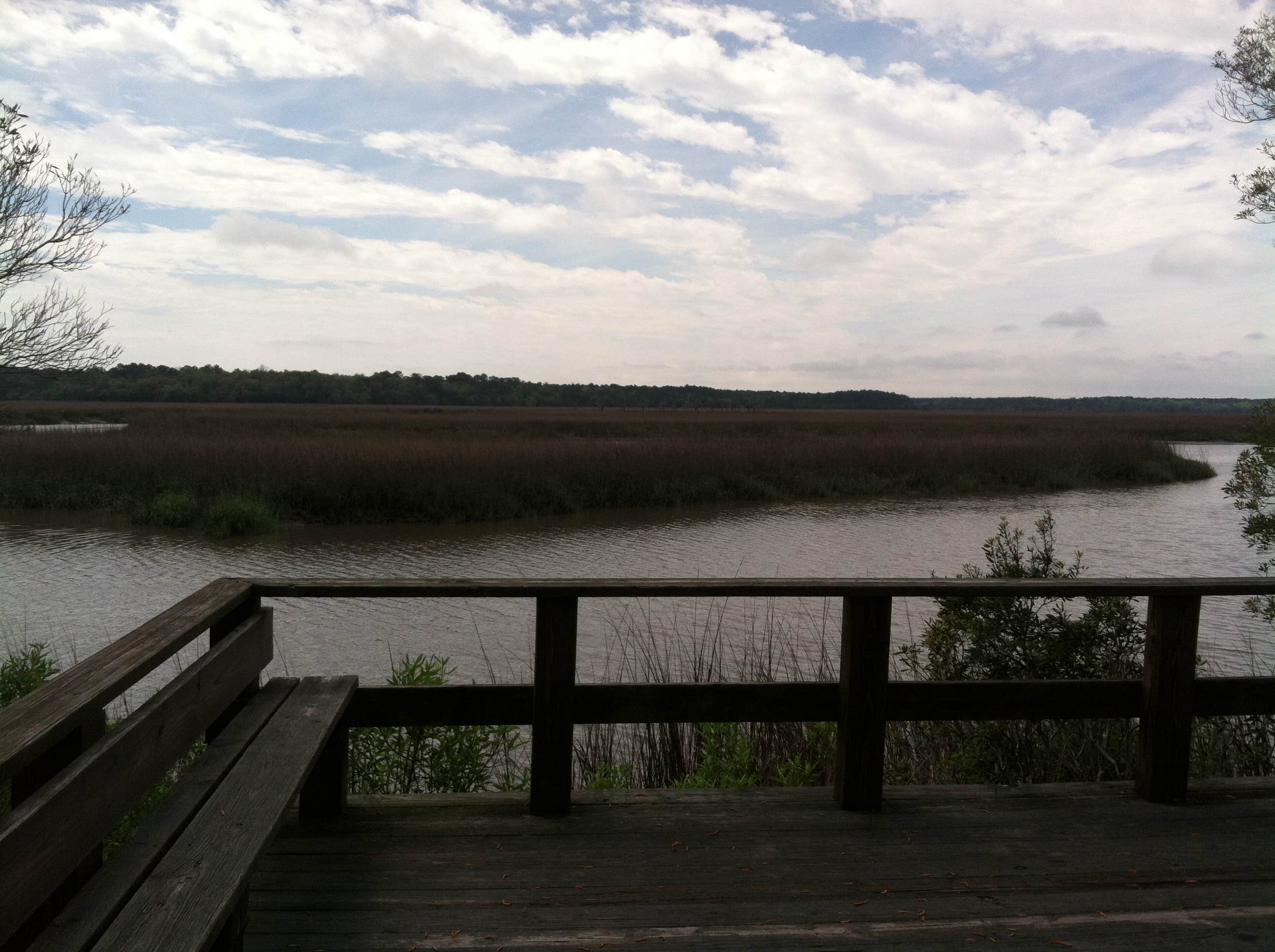 Camper submitted image from Fort McAllister State Park Campground - 5