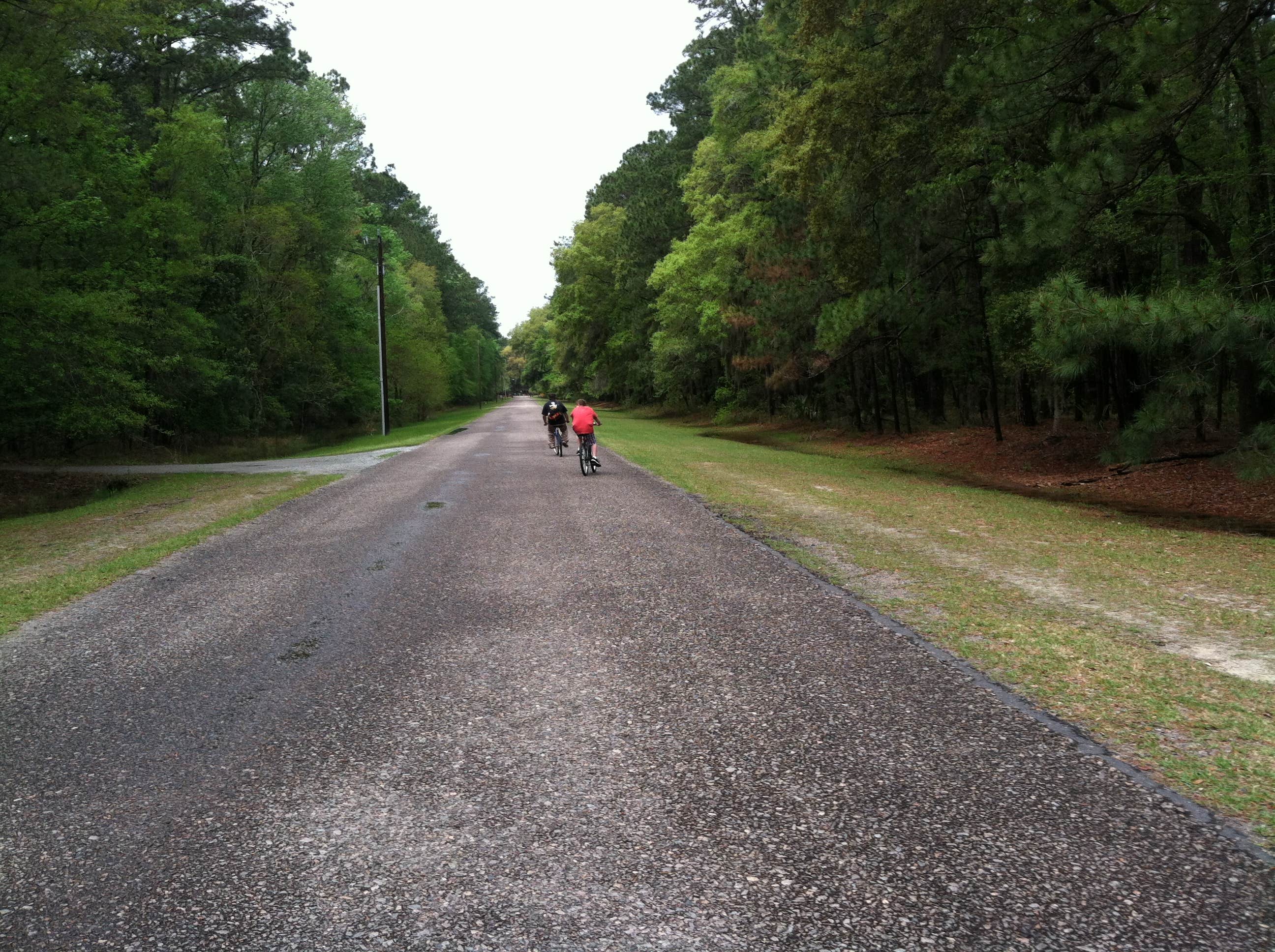 Camper submitted image from Fort McAllister State Park Campground - 3