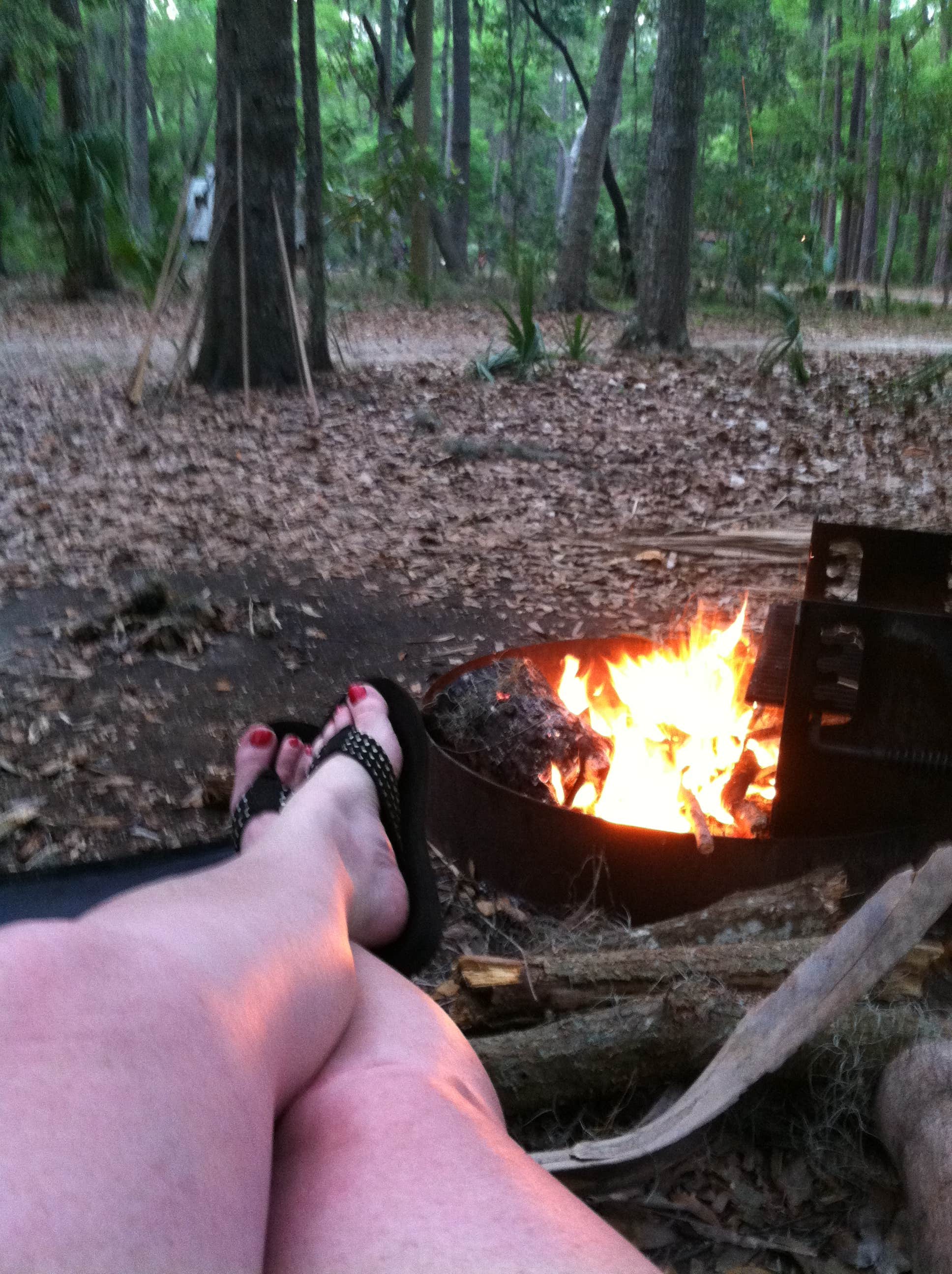 Swain K.'s photo at Fort McAllister State Park Campground near Richmond Hill, GA