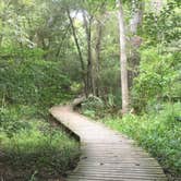 Review photo of Huntsville State Park Campground by Heather M., August 26, 2018