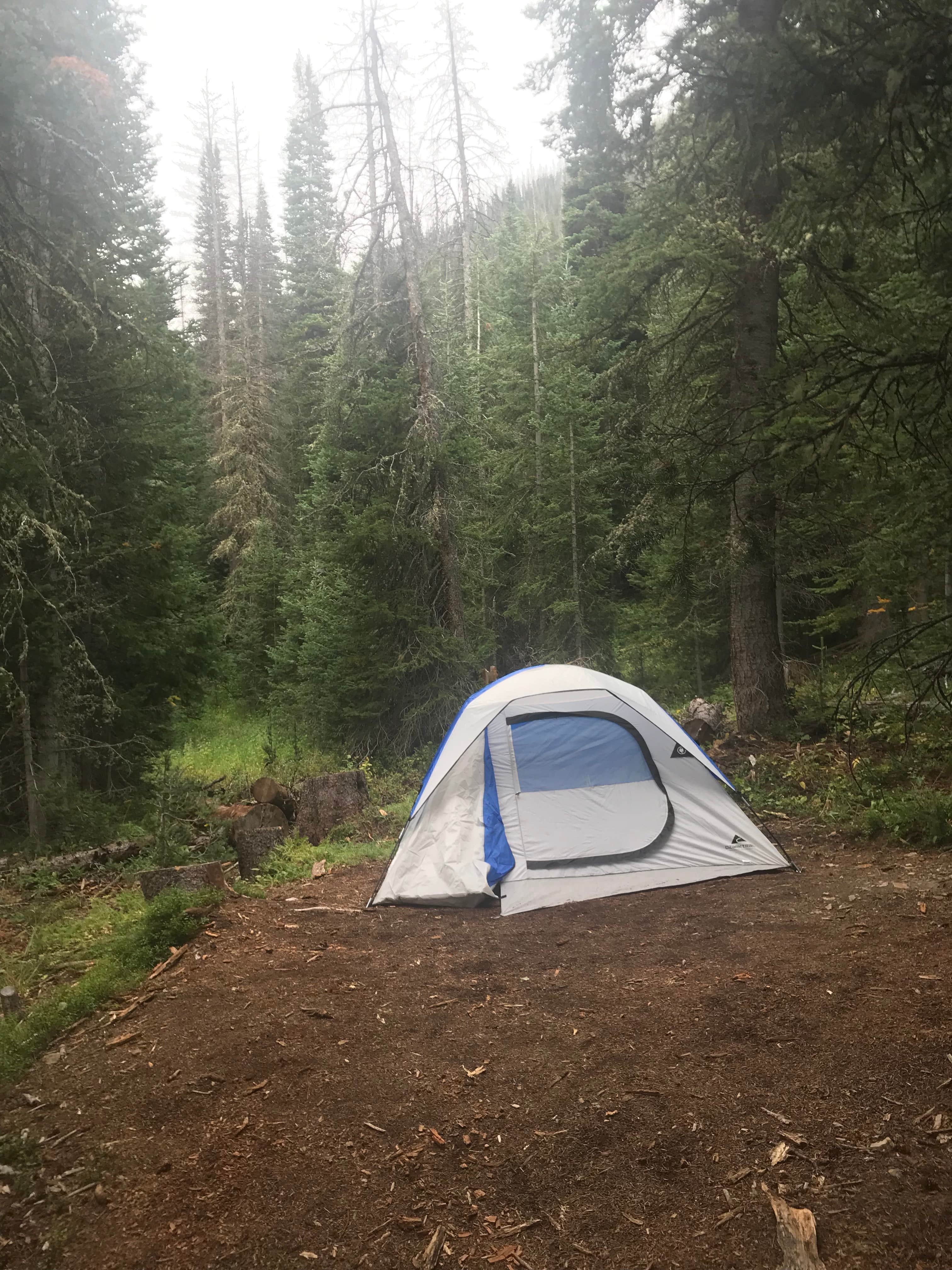 Camper-submitted photo at The Crags Campground — State Forest State Park near Gould, CO
