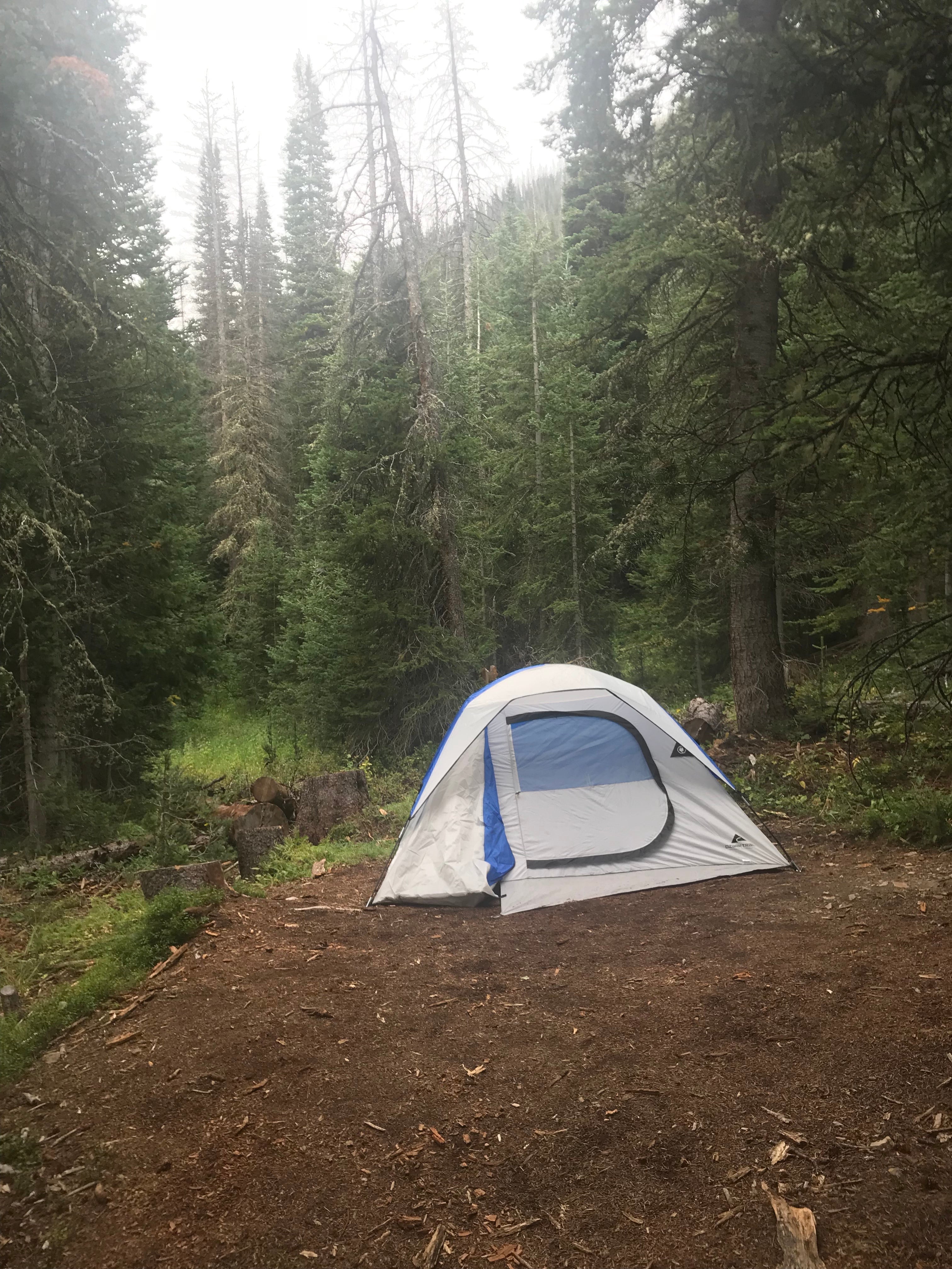 Camper submitted image from The Crags Campground — State Forest State Park - 4