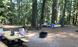 Camping near Trout Creek: Ice Cap Campground, Mckenzie Bridge, Oregon