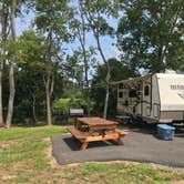 Review photo of Buddy Bear In The Smokies Campground by m M., August 26, 2018