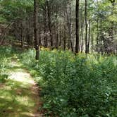 Review photo of New River State Park - Wagoneer Access by Katrin M., August 26, 2018