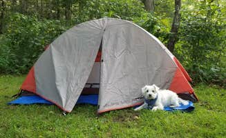 Katrin M.'s photo at Wagoner — New River State Park near Jefferson, NC