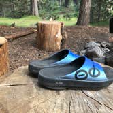 Review photo of Mazama Village Campground — Crater Lake National Park by Corinna B., August 26, 2018