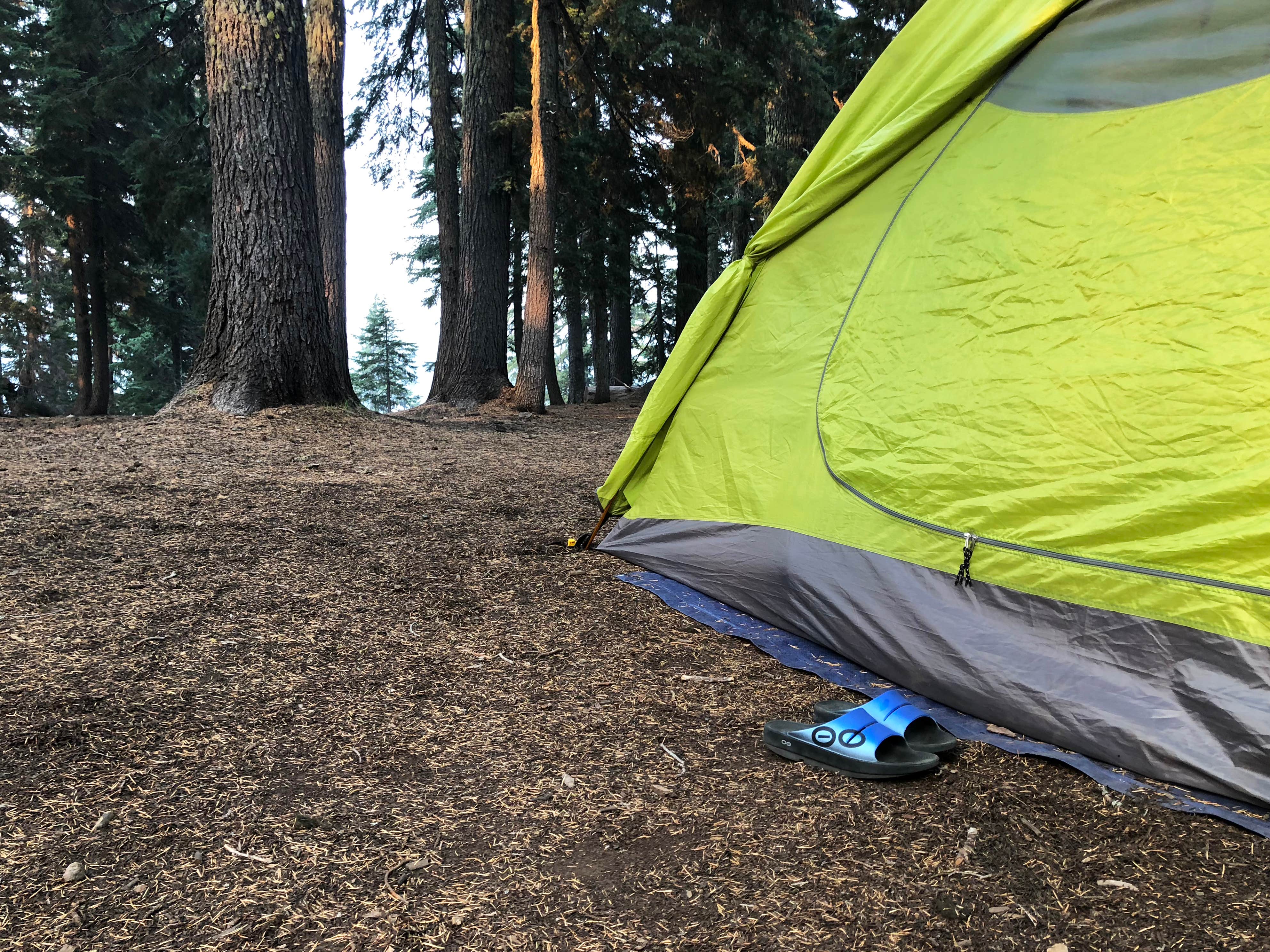 Corinna B.'s photo at Mazama Village Campground — Crater Lake National Park near Crater Lake National Park