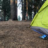Review photo of Mazama Village Campground — Crater Lake National Park by Corinna B., August 26, 2018