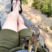 Review photo of Mazama Village Campground — Crater Lake National Park by Corinna B., August 26, 2018