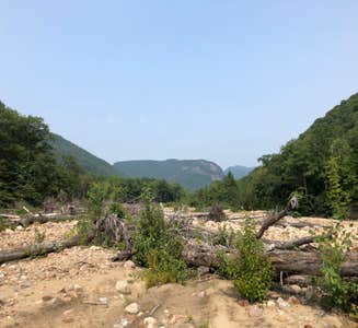 Camper-submitted photo from Crawford Notch Campground