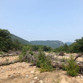 Review photo of Crawford Notch Campground by Sarah S., August 26, 2018