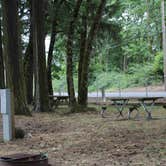 Review photo of Scappoose Bay Marine Park by Eva W., June 27, 2015